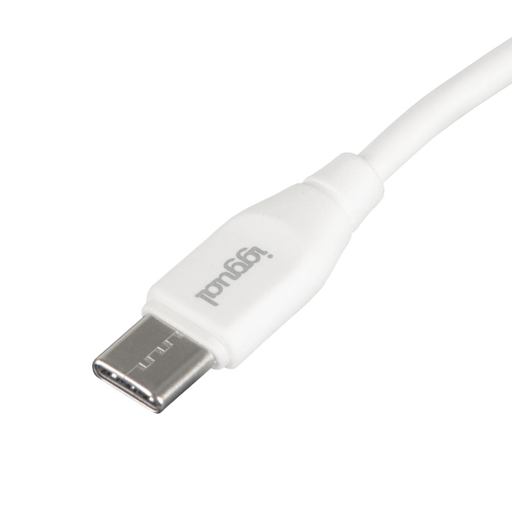 iggual Cabo USB-C/USB-C 100 cm branco Q3.0 3A - Imagem de Detalhe 27