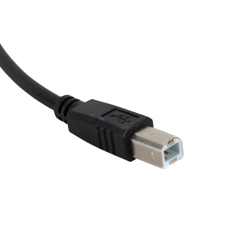 iggual Cabo USB 2.0 A(M)-B(M) A-B macho 2 metros - Imagem de Detalhe 5