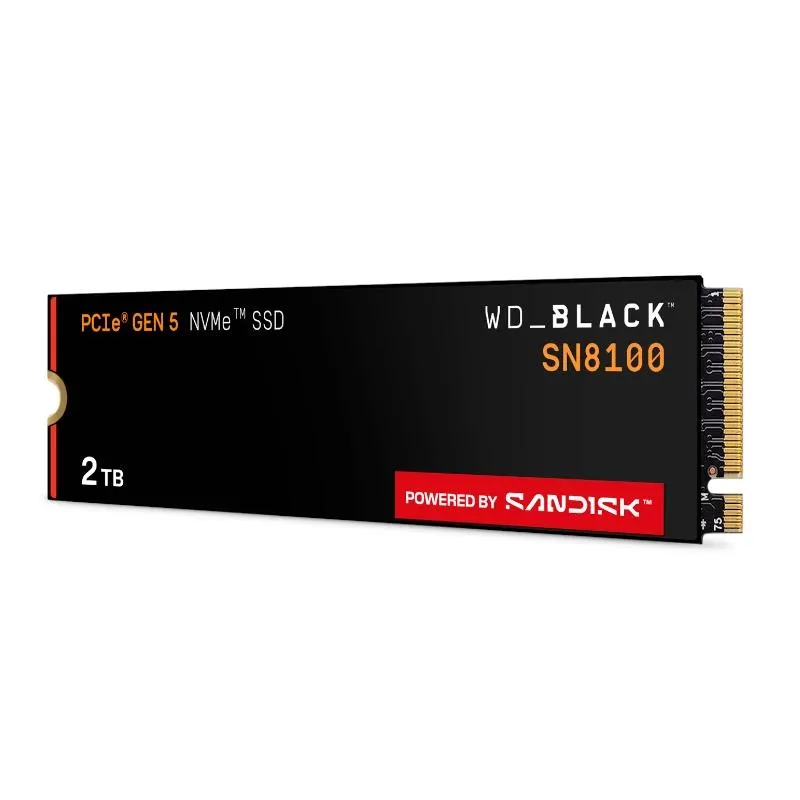 WD Black SN8100 SSD 2TB PCIe Gen5x4 14900 MB-s - Imagem de Detalhe 2