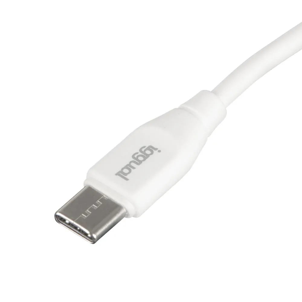 iggual Cabo USB-C/USB-C 100 cm branco Q3.0 3A - Imagem de Detalhe 39
