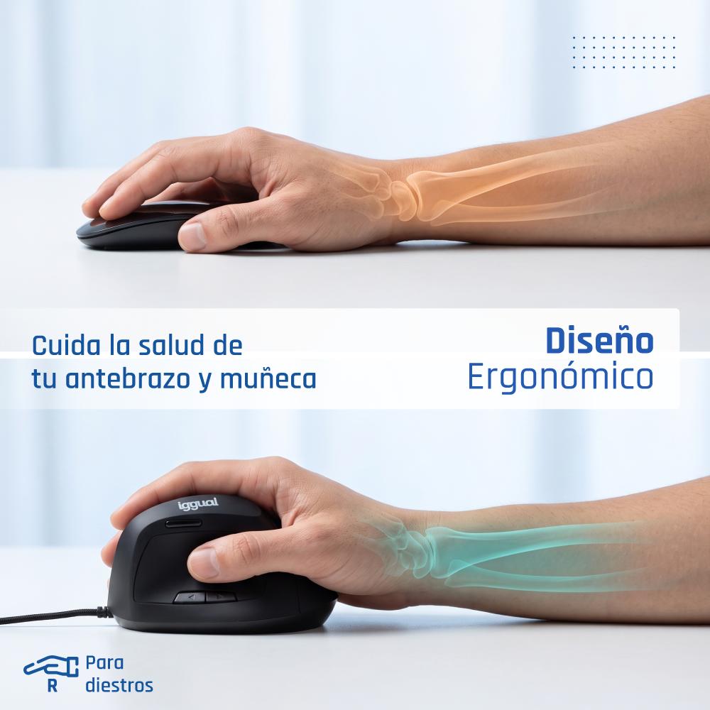 iggual IGG318386 rato Escritório Mão direita USB Type-A Ótico 2400 DPI - Imagem de Detalhe 17