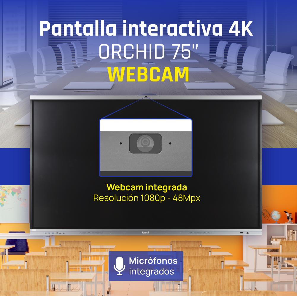 iggual Orchid 75 Webcam Plasma interativo 190,5 cm (75") LED Wi-Fi 400 cd/m² 4K Ultra HD Preto Ecrã táctil Processador built-in Android - Imagem de Detalhe 4