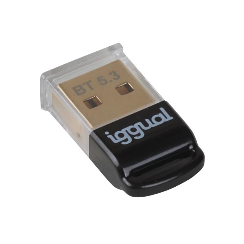iggual IGG319383 placa/adaptador de interface Interno Bluetooth