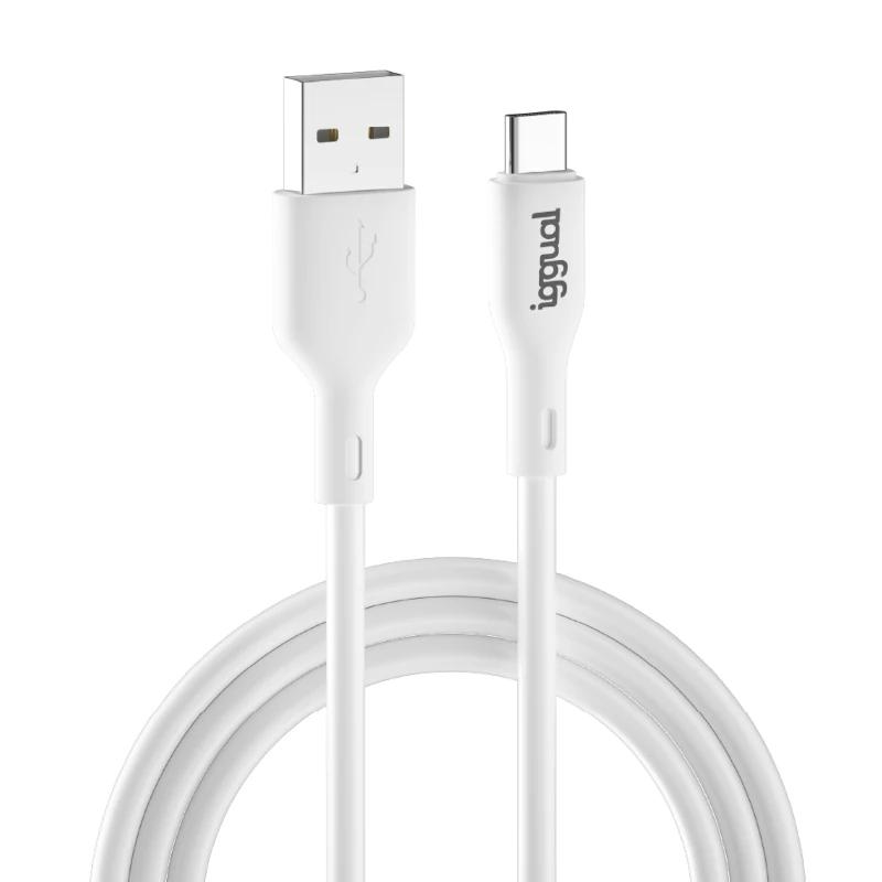 iggual IGG316948 cabo USB USB 2.0 1 m USB A USB C Branco