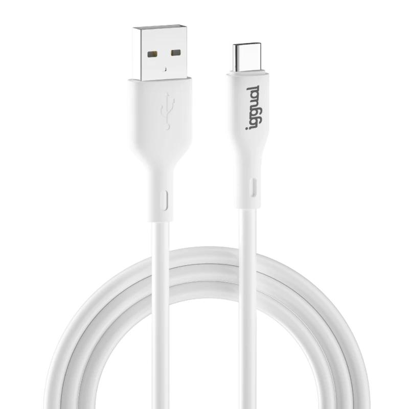 iggual IGG317181 cabo USB USB 2.0 1 m USB A USB C Branco