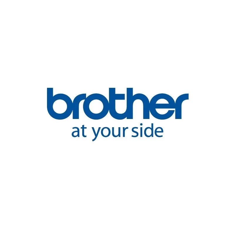 Brother | Papel 12 Rollos Ancho 51mmx26mm