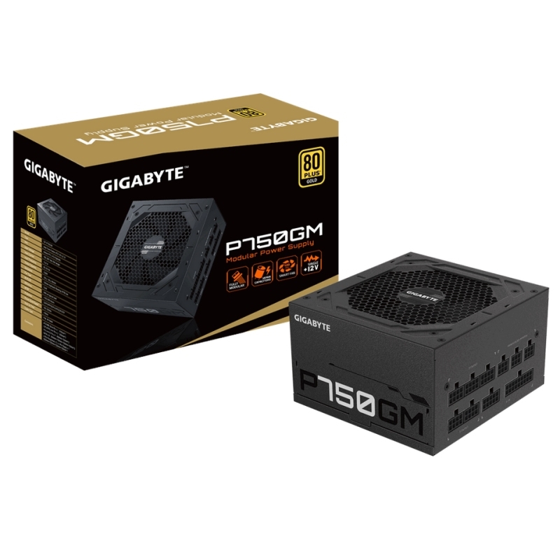 GIGABYTE P750GM fonte de alimentação 750 W 20+4 pin ATX ATX Preto