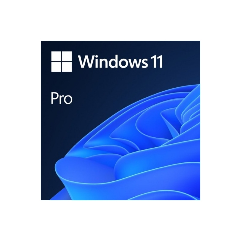 Microsoft | DVD | Windows 11 Pro 64b É OEM | 64GB | 64GB